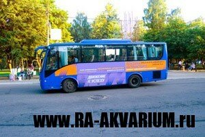 reklama_na_transporte_2_m