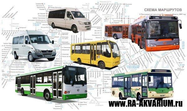 Реклама на автобусах и маршрутках в Москве