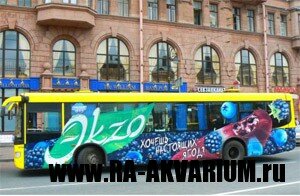 Реклама на автобусах и маршрутках в Москве